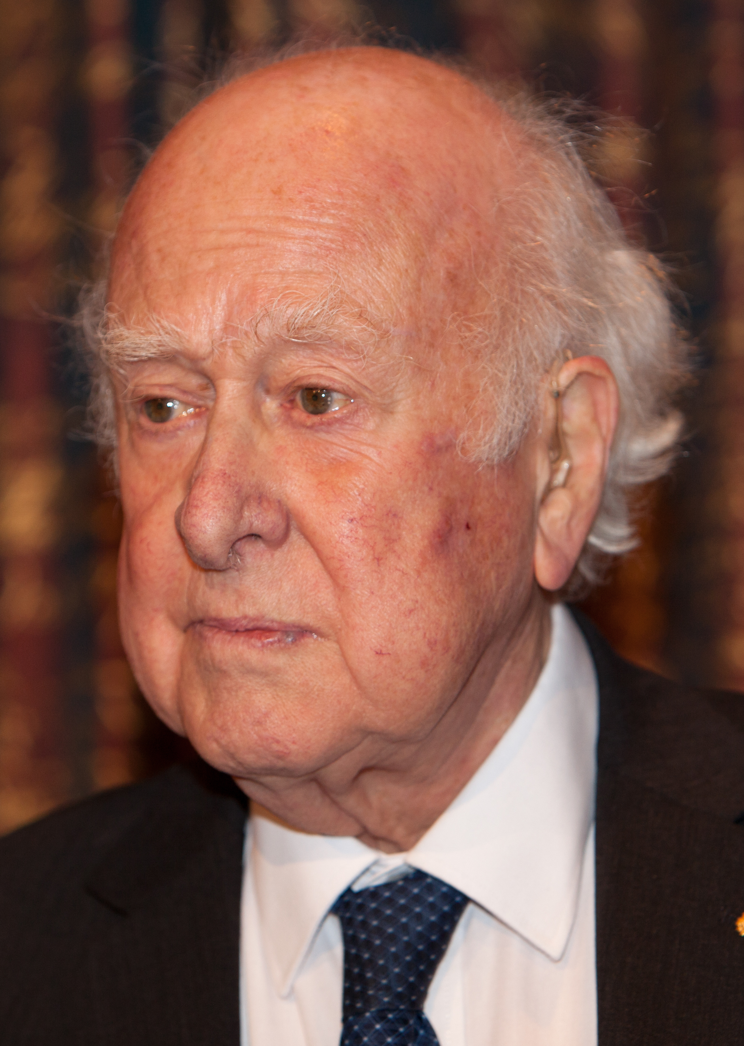 Peter Higgs portrait